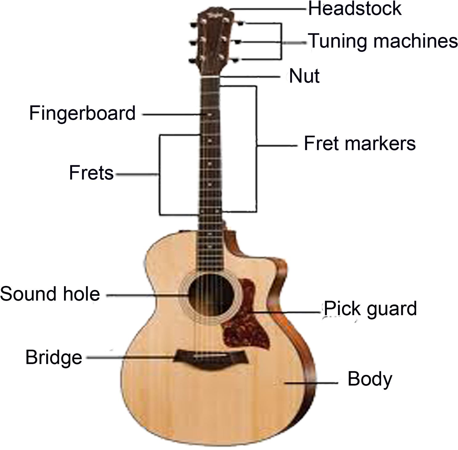 guitar sructure image